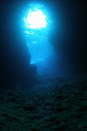 沖縄ダイビングの写真