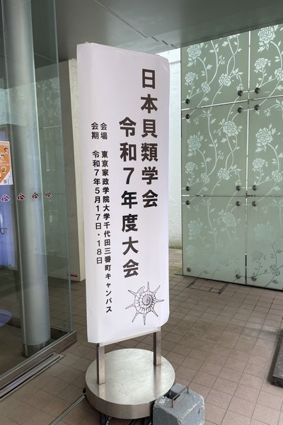 陸写真