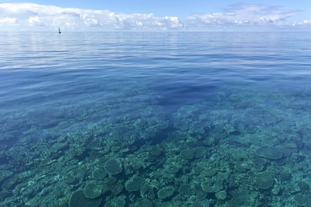 今日の海