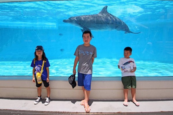 美ら海水族館